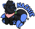 Full body badge for Nachie