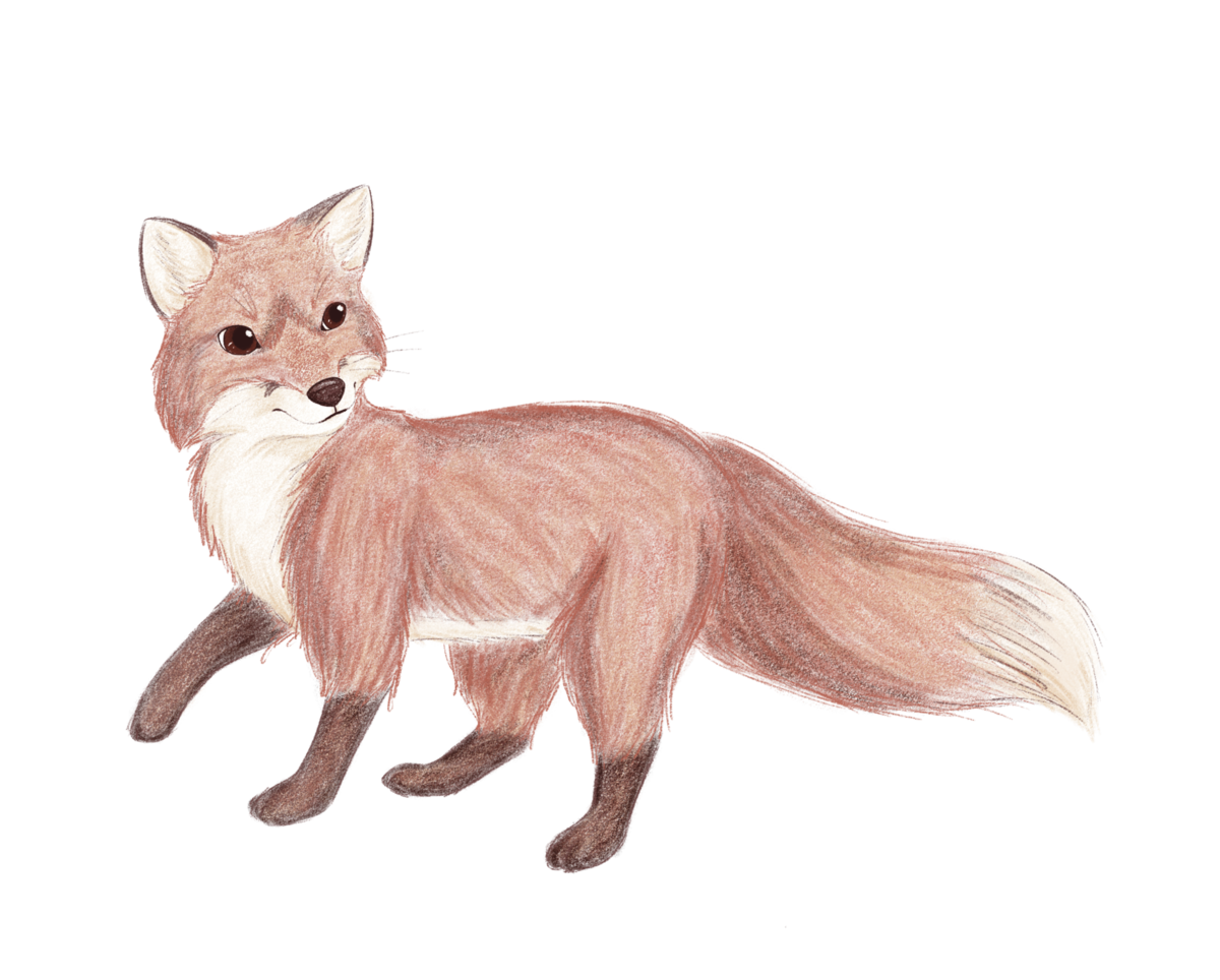 Art - Sketch Commission